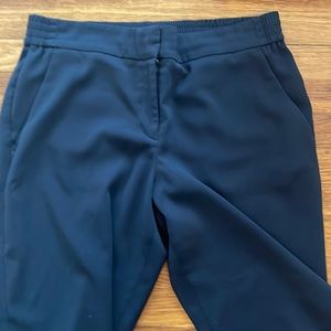 Ann Taylor suit pants
